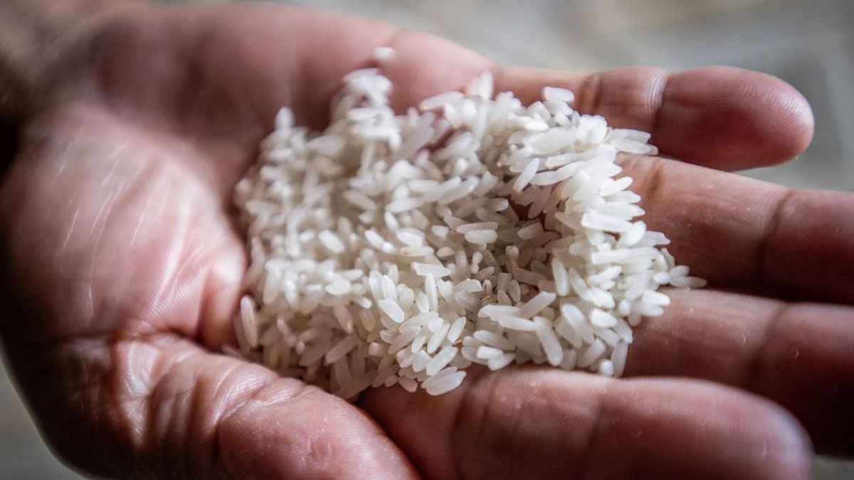 Studi Sarankan Masak Nasi dengan Benar agar Terhindar dari Kanker