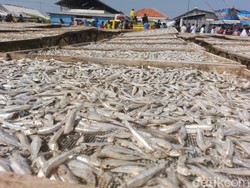 7 Manfaat Ikan Asin untuk Kesehatan Tubuh dan Cara Mengolahnya