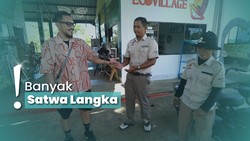 Bertemu dan Main Langsung Satwa Liar di Safari Lagoi, Pulau Bintan