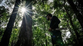 FOTO: Pesona Hutan Hujan Tropis Kahung di Geopark Meratus