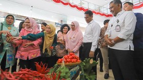 Iriana Jokowi Ajak Kelola Komoditas Hortikultura Skala Rumah Tangga