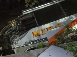 6 Fakta Bus Mira Nyungsep ke Parit Usai Tabrak Pohon Tewaskan Kondektur