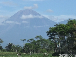 3 Kali Erupsi, Gunung Semeru Luncurkan Abu Vukanik Setinggi 900 M