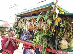 Meriahnya Kirab Saparan Bekakak Ambarketawang, Lestari Sejak 1756