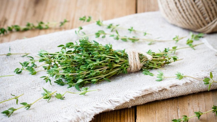 Tanaman Herbal yang Bagus untuk Kesehatan Tulang Tanaman Herbal yang Bagus untuk Kesehatan Tulang