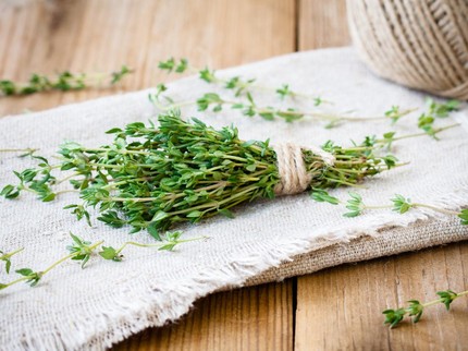 5 Tanaman Herbal yang Bagus untuk Kesehatan Tulang, Cegah Osteoporosis