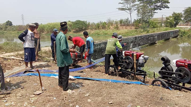 Fenomena peningkatan produksi beras dari KSA BPS yang disampaikan pada rapat pengendalian inflasi pada Senin (19/8)
