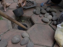 Apa Itu Biopori? Pengertian dan Manfaatnya
