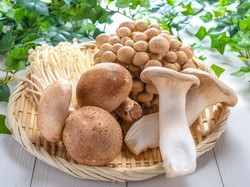 Ingat! Kesalahan Masak Jamur Ini Bikin Makanan Kurang Enak