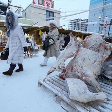 Ini Fakta Unik Yakutsk yang Menjadi Kota Terdingin di Dunia