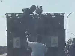 Viral Aksi Bajing Loncat di Palembang Gasak Tabung Gas dari Atas Truk