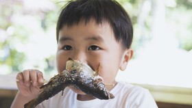 Apakah Makan Ikan Bikin Ginjal Sehat? Ini Penjelasannya