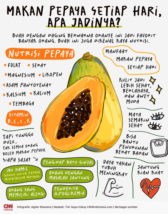 Pepaya jadi salah satu buah favorit banyak orang. Pepaya juga dikenal akan nutrisinya yang berlimpah. Tapi, apa jadinya jika rutin makan pepaya setiap hari?
