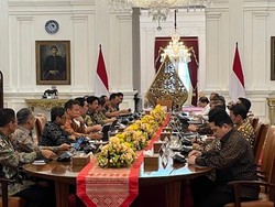 Cegah Penyebaran Mpox, Jokowi Minta Kedatangan Internasional Diawasi Ketat