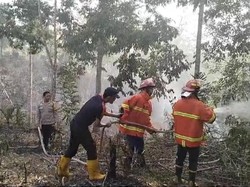 5 Titik Lahan di Lubuklinggau Terbakar Diduga karena Puntung Rokok-Bakar Sampah