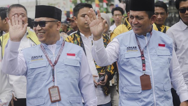 Sejumlah politisi yang memiliki hubungan keluarga berhasil menang di Pilkada Serentak 2024, berikut daftarnya.