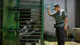 FOTO: Melindungi Beruang Hitam Formosa yang Hampir Punah