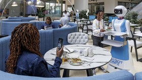 FOTO: Mengintip Lihainya Pramusaji Robot di Restoran Kenya