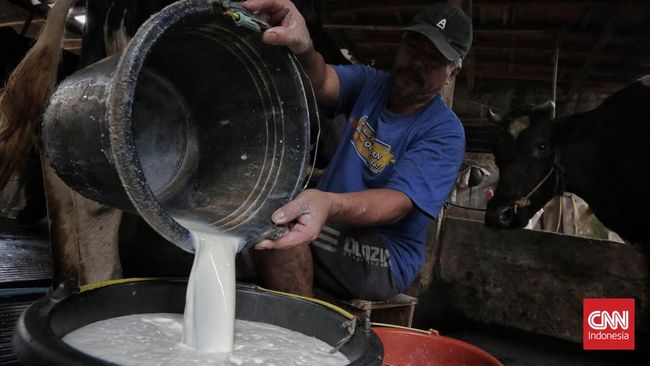 Susu mentah berisiko tinggi sebabkan infeksi serius pada anak. Dokter menegaskan raw milk tidak lebih baik dari susu pasteurisasi.