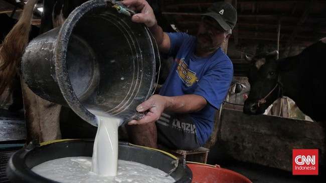 Industri menyebut kualitas susu peternak tak sesuai standar keamanan pangan karena ditambahi air, minyak goreng hingga hidrogen peroksida.