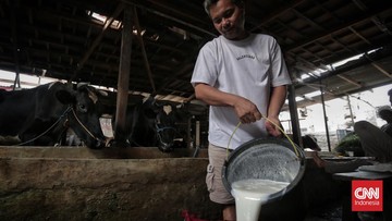 FOTO: Dilema Pasokan Susu di Tengah Rencana Program Makan Gratis