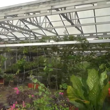 Berangkatkan Umrah 300 Orang, 7 Potret Rumah Mamah Dedeh Ada Rumah Pohon & Gedung Serbaguna