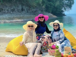 Pengalaman Berjumpa dengan Lumba-lumba untuk Pertama Kali di Teluk Kiluan