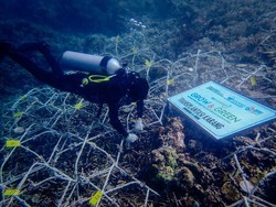 BRI Beri Bantuan Alat Selam dan Pelatihan Sadar Wisata ke Pokdarwis di Sulsel