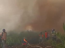 Kebakaran Lahan Gambut di Jambi Meluas, 12 Orang Ditetapkan Tersangka