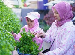 Awalnya TPS Liar, Kini Jadi Tempat Urban Farming Berkat Peran Ibu-ibu