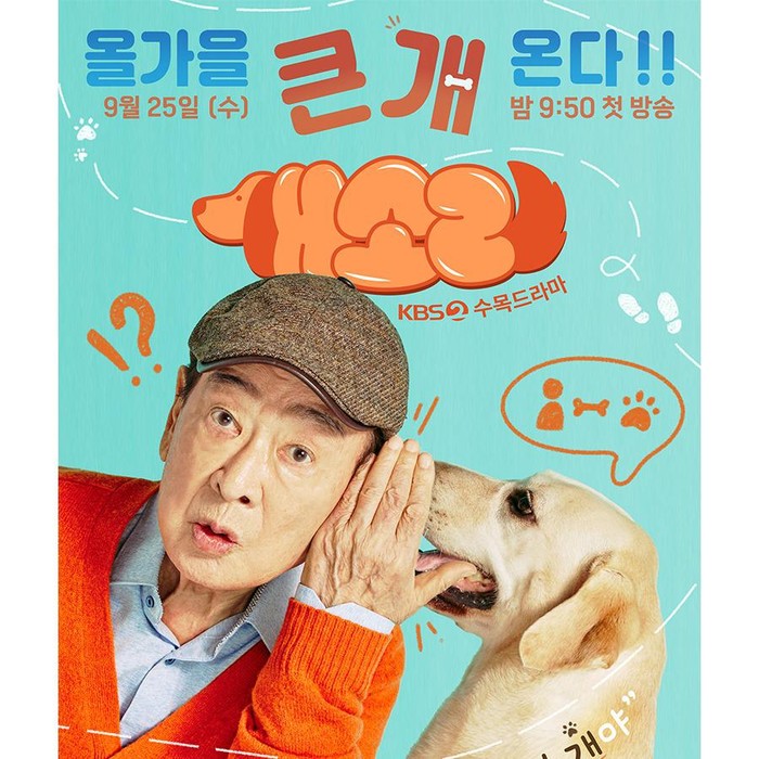 Dog Knows Everything