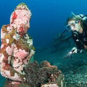 3 Tempat Diving Paling Bagus di Indonesia, Sering Didatangi Wisatawan!