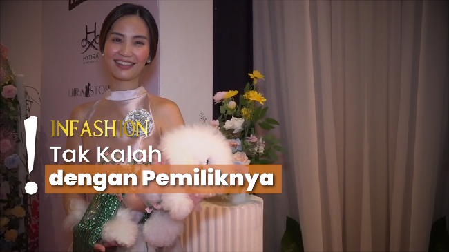 Gemas! Fashion Show Bareng Pet Bichon yang Berdandan Ala Model