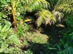 Nahas Pikap Rombongan Pengajian Jatuh ke Jurang Mateng Tewaskan 1 Penumpang
