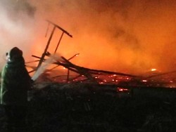Api Lalap Kandang Ternak di Ciamis, Ratusan Ayam Mati Terpanggang