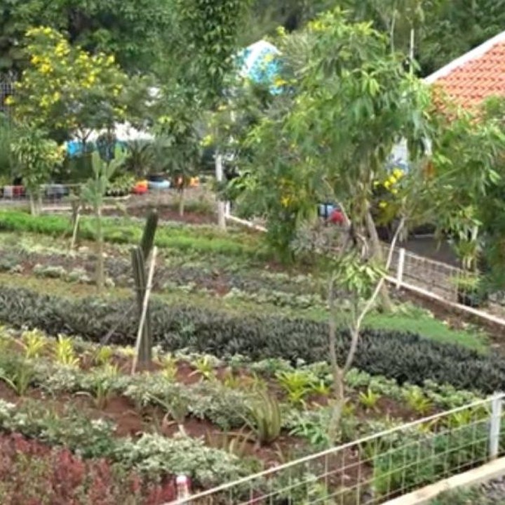 <p>Ustazah Dede Rosidah atau yang akrab disapa Mamah Dedeh adalah seorang pendakwah yang cukup populer di Indonesia. Tak disangka, ternyata ia memiliki rumah dengan area yang sangat luas. (Foto: YouTube deHakims Story)</p>