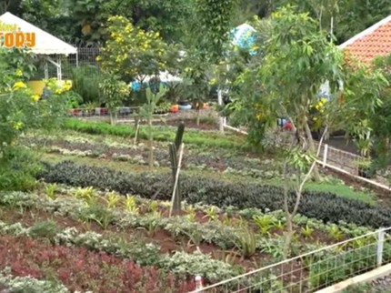 5 Potret Rumah Mamah Dedeh yang Luas, Ada Kolam Ikan hingga Kebun Buah Anggur