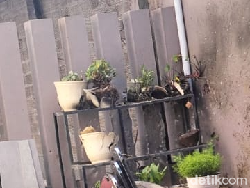 Penampakan Pot Bunga Hancur di Rumah Cagub Aceh Bustami Hamzah Usai Ledakan