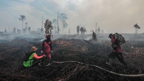 Cegah Karhutla, BMKG Modifikasi Cuaca di Riau Jelang Musim Kemarau