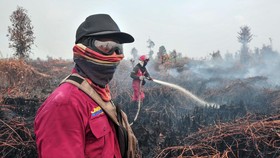 FOTO: Lidah Api Karhutla Lalap 1.000 Hektare Muaro Jambi