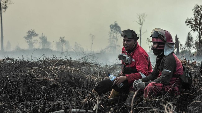 FOTO: Lidah Api Karhutla Lalap 1.000 Hektare Muaro Jambi