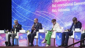 Banyak Potensi, Rosan Perkuat Kemitraan Indonesia-Afrika