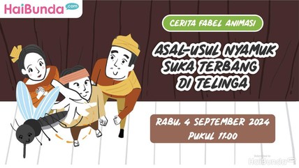 Detik Network