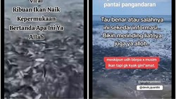 Fenomena Jutaan Ikan Naik ke Darat Disebut Pertanda Bahaya, Ini Kata Pakar
