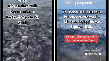 Fenomena Jutaan Ikan Naik ke Darat Disebut Pertanda Bahaya, Ini Kata Pakar