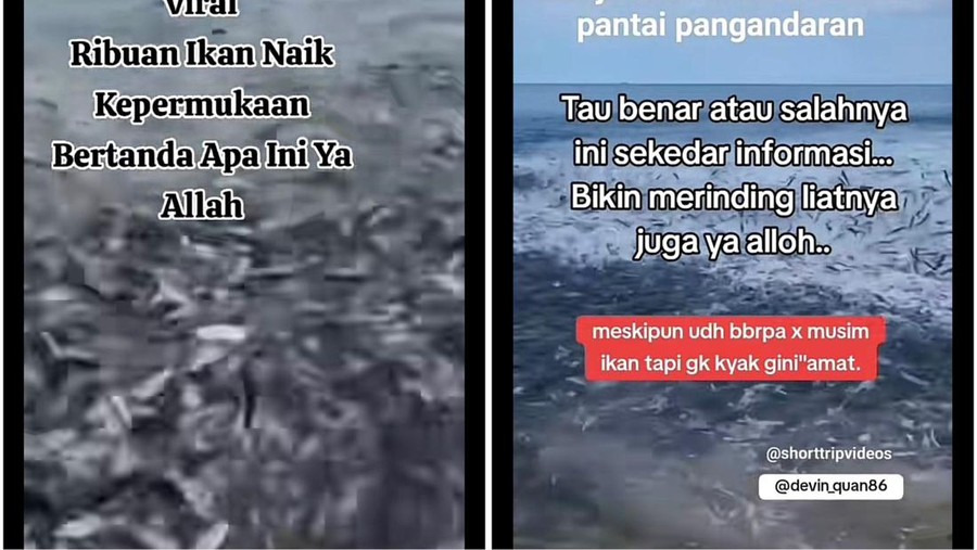 Ikan naik ke daratan