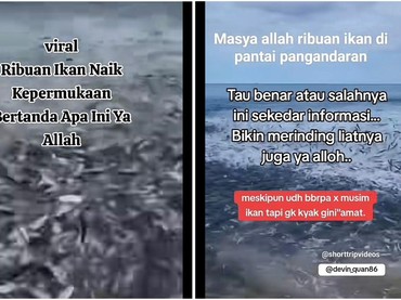 Fenomena Jutaan Ikan Naik ke Darat Disebut Pertanda Bahaya, Ini Kata Pakar