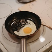 Apa yang Terjadi Pada Tubuh Jika Kita Makan Telur Setiap Hari?