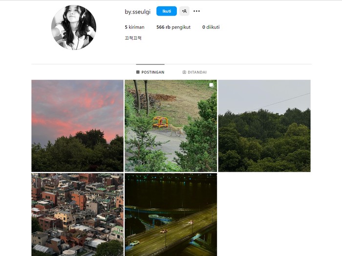 Instagram Fotografi Seulgi/Foto: Instagram.com/by.sseulgi