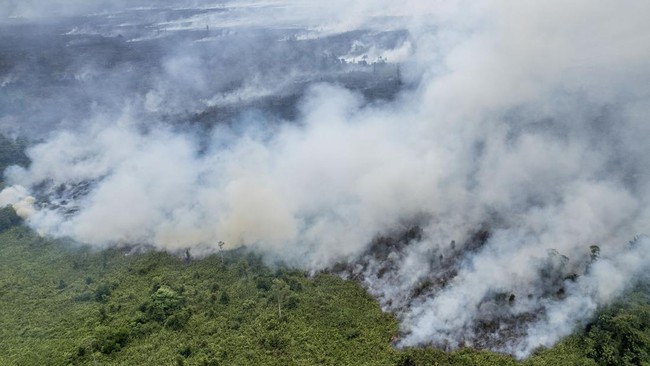 BNPB mencatat 38 kejadian kebakaran hutan di Kalimantan Tengah dengan total lahan terbakar 25,46 hektare.